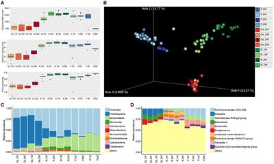 Modulations in gastrointestinal microbiota during postpartum period fulfill energy requirements and maintain health of lactating Tibetan cattle